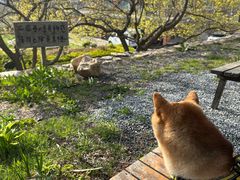 -北马山庄植趣咖啡