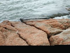 -碧桂园十里银滩