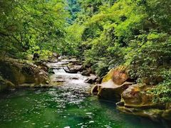 -鼎湖山风景区