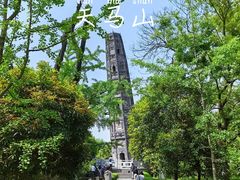 -上海佘山国家森林公园天马山园