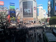 -涩谷全向十字路口