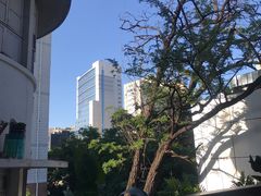 -中国人民大学-博物馆