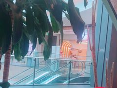-烹然四季椰子鸡火锅(姚家园万象汇店)
