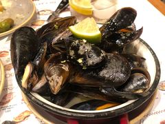 -Tapa Tapa