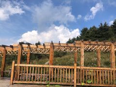 -白草畔自然风景区