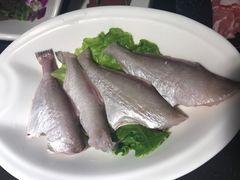 -锅说大脸毛肚重庆老火锅(佐阾店)