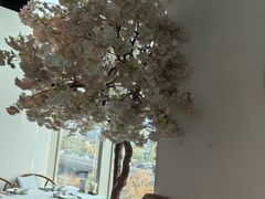 -翡翠江南(国贸商城店)