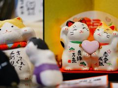 -猫的天空之城概念书店(丽江古城饮玉巷店)