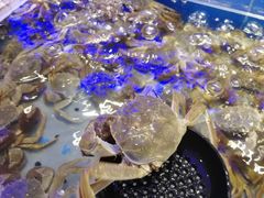 -澜悦港海鲜体验主题餐厅