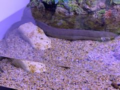 -上海海洋水族馆