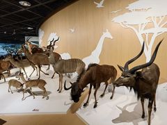 -陕西自然博物馆