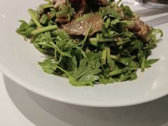 -海派美食·家宴海鲜青岛菜·石锅鲽鱼头(东方城店)