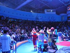 -烟台海昌鲸鲨海洋公园