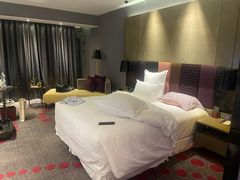 -南京禄口机场雅高铂尔曼大酒店