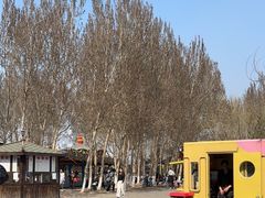 -长白岛森林公园