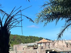 -广东惠东海龟国家级自然保护区