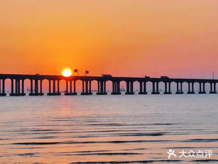 宝安西湾红树林湿地公园图片