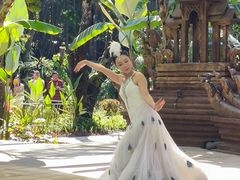 -西双版纳傣族园