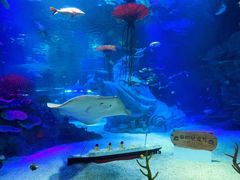 -沈阳海洋探索中心