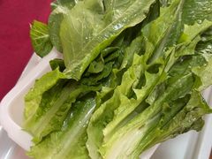 -麻奢鸽农庄·梦里水乡