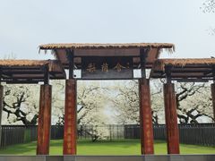 -江苏三台山国家森林公园