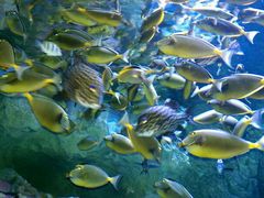 -成都浩海立方海洋公园