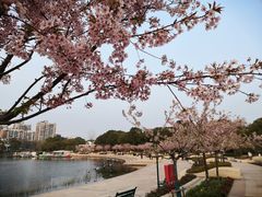-新江湾城公园