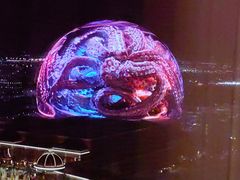 -拉斯维加斯永利酒店