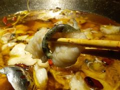 -雲蜀龙阁·金牌水煮鱼(方庄店)