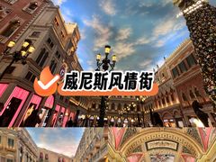 -澳门威尼斯人综合度假区