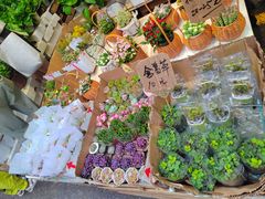 -循礼门鲜花花市(武汉循礼门店)