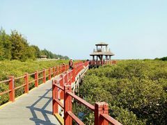 -北海金海湾红树林生态旅游区