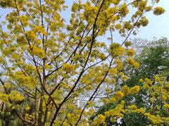 -北海市海滨公园