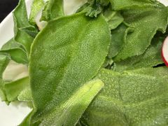 -新南华大酒店(长寿店)