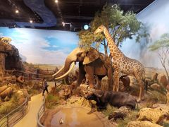 -陕西自然博物馆