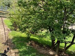 -深圳野生动物园