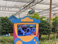 -南宫五洲植物乐园