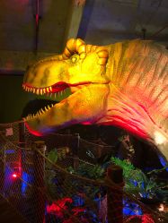 -恐龙探索乐园(磁器口店)