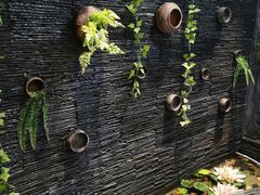 -一只烧鸡公(解放碑店)