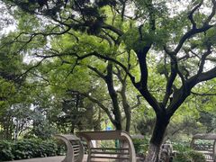 -菊花台公园