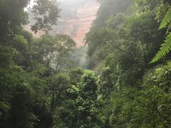 -赤水丹霞旅游区·佛光岩
