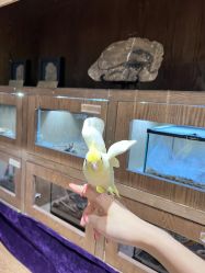 -Zoolung Zoolung动物主题公园(海信广场店)