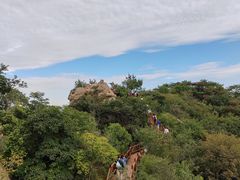 -大岭沟猕猴桃谷风景区