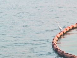 -巍阁高端月子会所