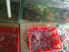 -绢姐海鲜大排档