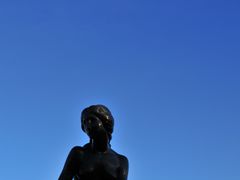 -美人鱼