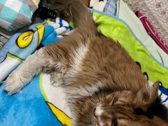 -天津前进宠物医院(前进道店)