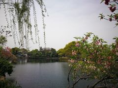 -无锡蠡湖国家湿地公园-蠡园
