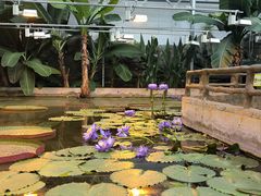 -国家植物园南园