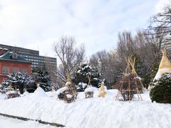 -北海道厅旧本厅舍(旧本庁舎)